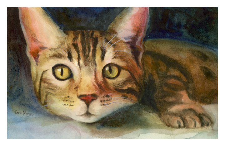 Grey Tabby Cat Watercolor by Terri Meyer
