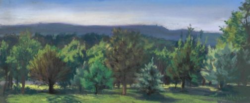 A painting of the Catskills Mtns by Terri Meyer