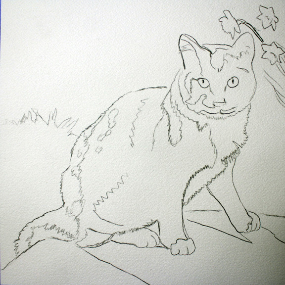 Line Drawing for Cat Painting