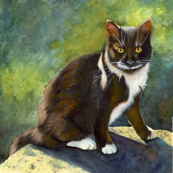 Tuxedo Cat Watercolor Painting by Terri Meyer