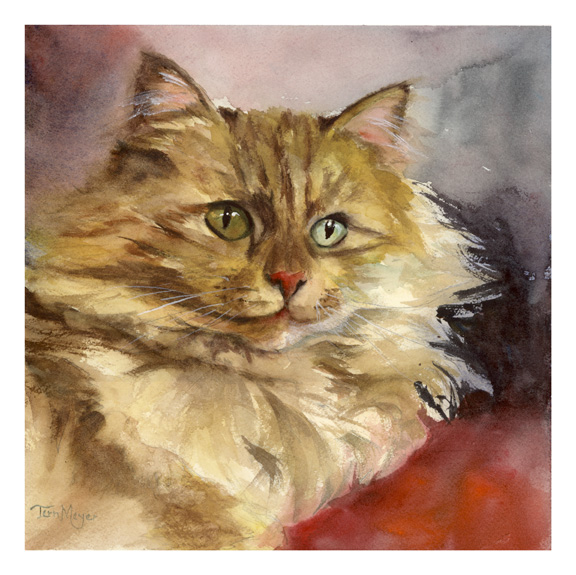 Cat Watercolor Painting by Terri Meyer