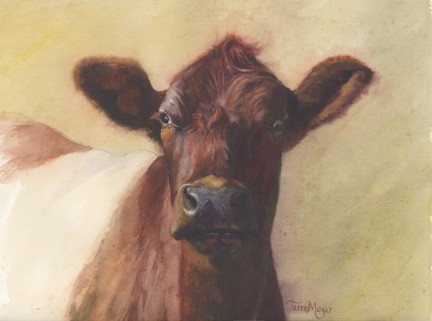 Portrait Painting of a Cow by Terri Meyer
