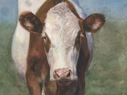 Portrait Painting of a cow by Terri Meyer