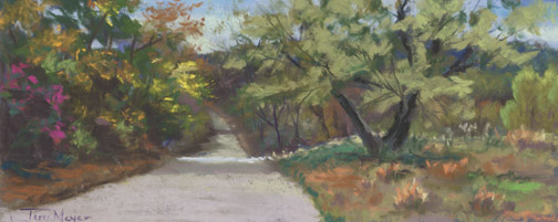 A pastel painting by Terri Meyer of a quiet road in Stoneham Maine
