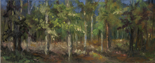 Plein Air Landscape Painting of Woods