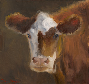 Cow Portrait 1