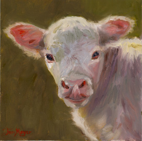 Calf Portrait by Terri Meyer