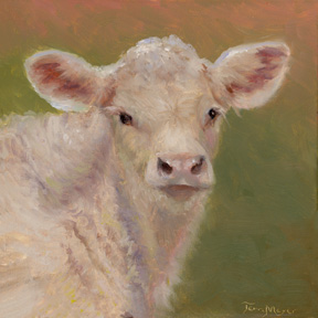 Calf Portrait