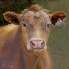Cow Portrait by Terri Meyer