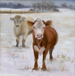 Cows standing in snow