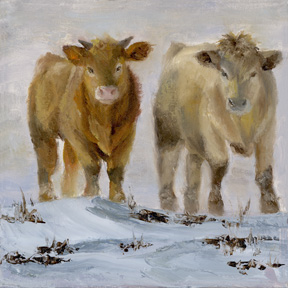 Cows standing in the Snow