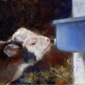 A painting of a calf suckling a blue nurssing bucket by Terri Meyer