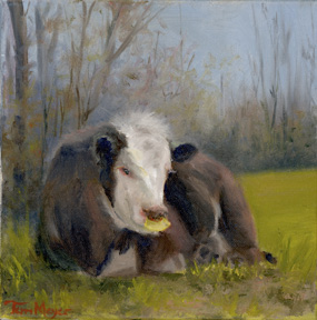 A painting of a cow relaxing in the pasture with a nose wean by Terri Meyer