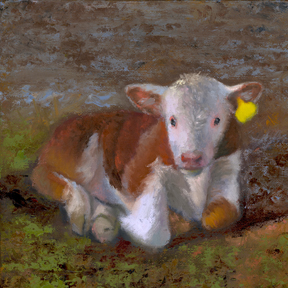 Painting of a Hereford Calf