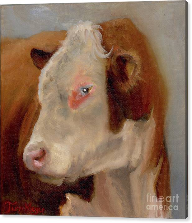 Canvas Wrapped Artwork of a Hereford Bull