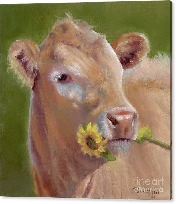 Cow holding Sunflower