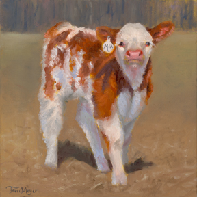 Painting of a spotted Hereford Calf
