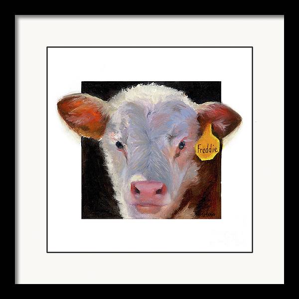 Framed Print of Freddie the Bull Calf