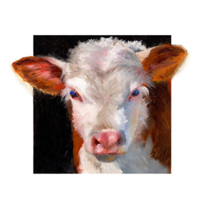 Oil Calf Portrait by Terri Meyer