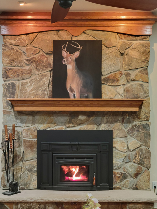 Stag over fireplace