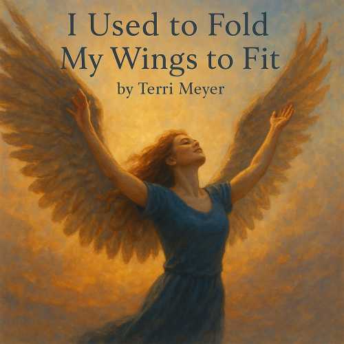 I Used to Fold My Wings to Fit Song Cover Art by Terri Meyer